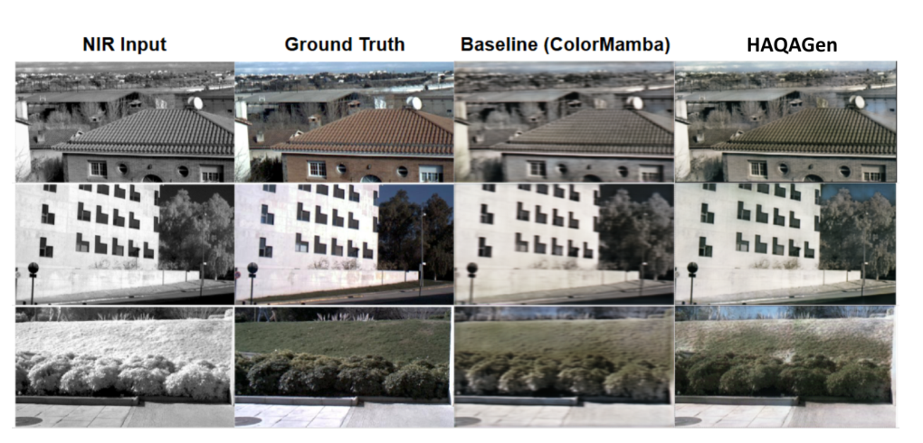 OMSIV qualitative gallery comparing resizing versus adaptive inference.
