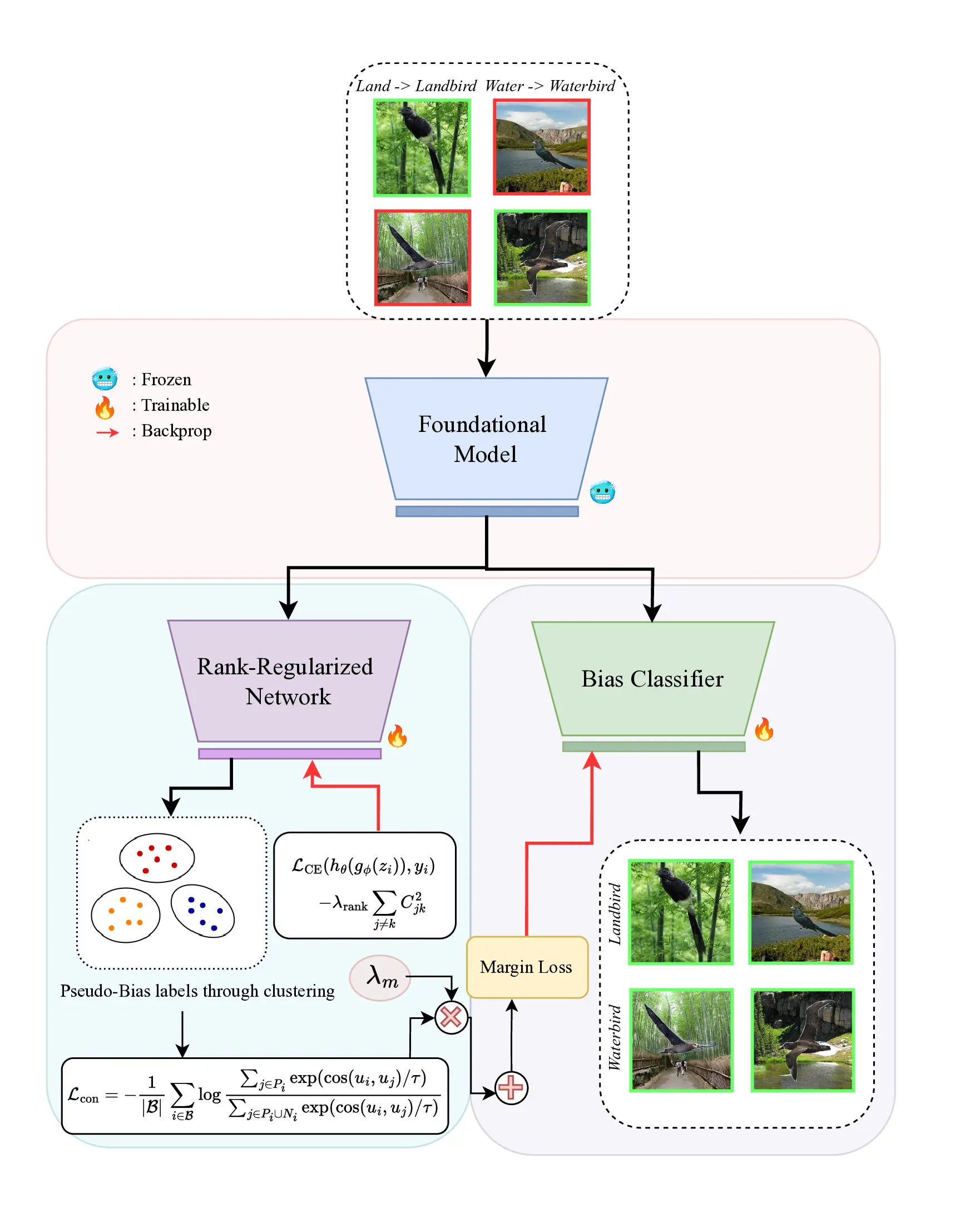 PLD-Debias framework overview
